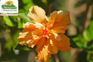 TOURS CHANCHAMAYO - Tour Vitoc - IBTravel - Ecoturismo