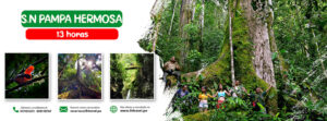 Cabecera SN Pampa Hermosa - IBTravel