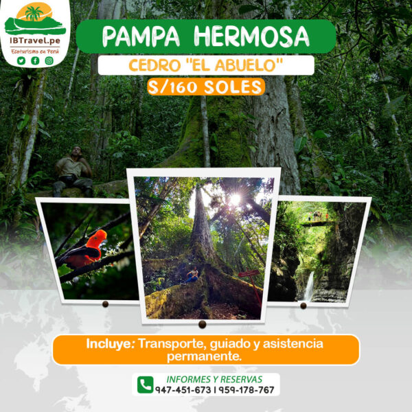 PAMPA HERMOSA - CHANCHAMAYO - IBTRAVEL