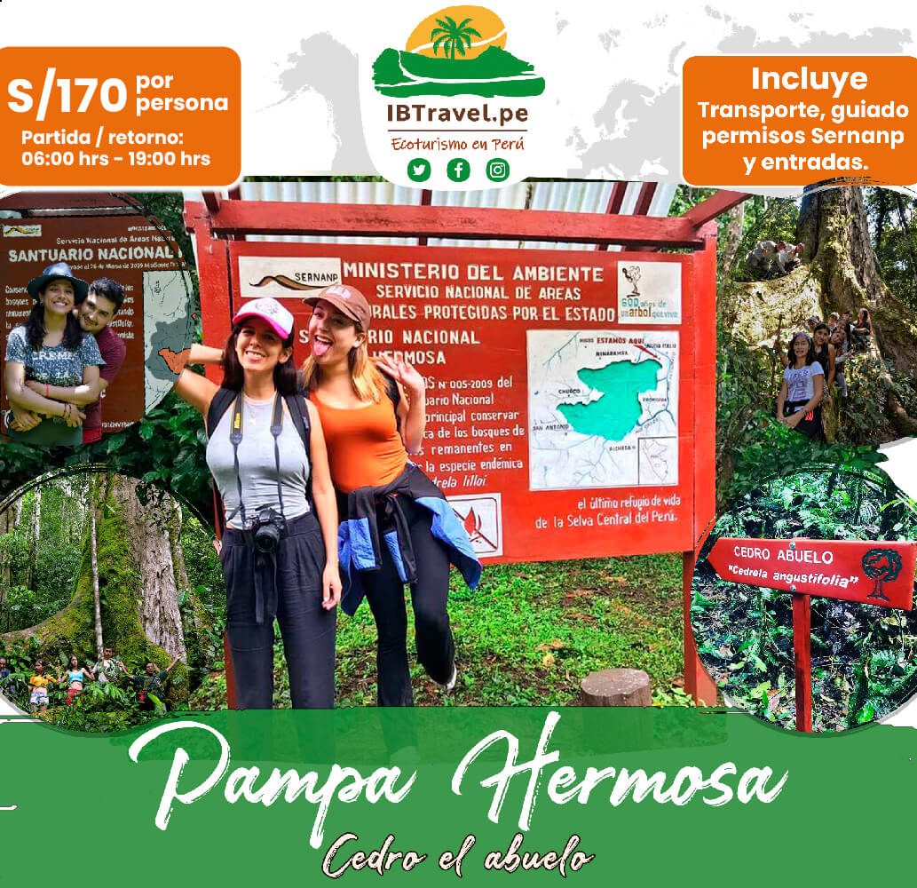 PAMPA HERMOSA desde S/170