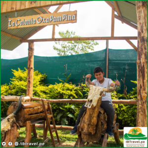 Fiesta Patronal Oxapampa - IBTravel - Salida confirmada (8)