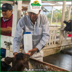 Quinta promocion unica visita oxapampa - IBTravel (9)